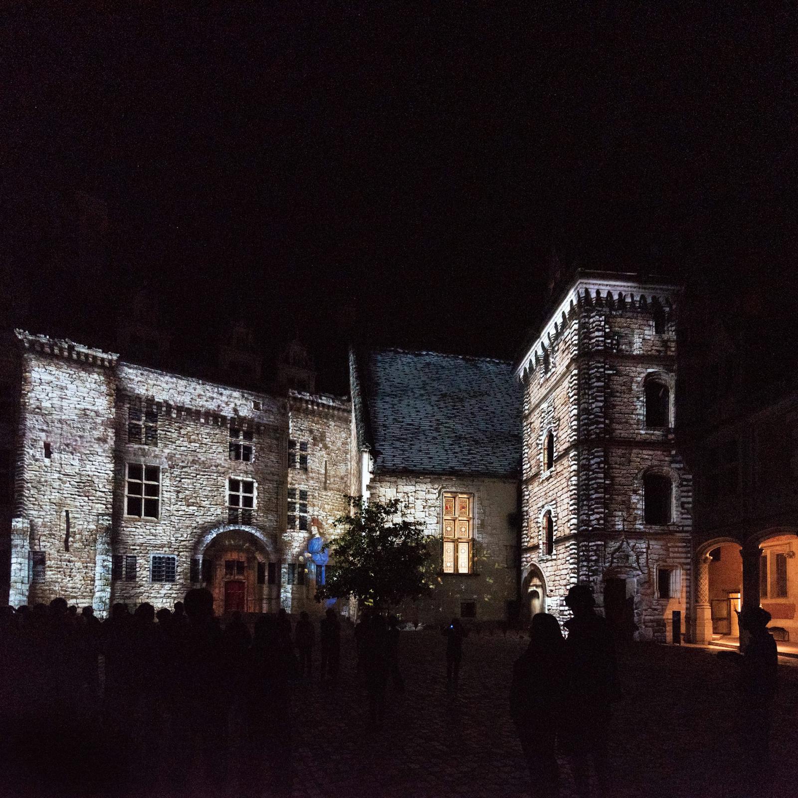 Nocny oświetlony widok Zamku Królewskiego w Blois